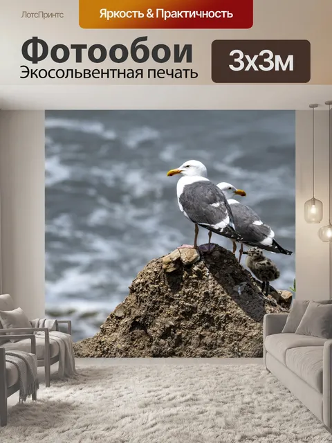 Фотообои семья чаек
