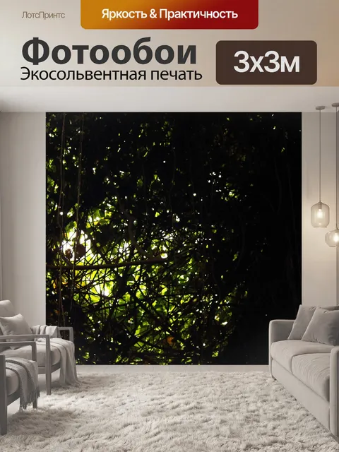 Фотообои густая листва деревьев