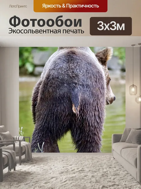 Фотообои Бурый медведь