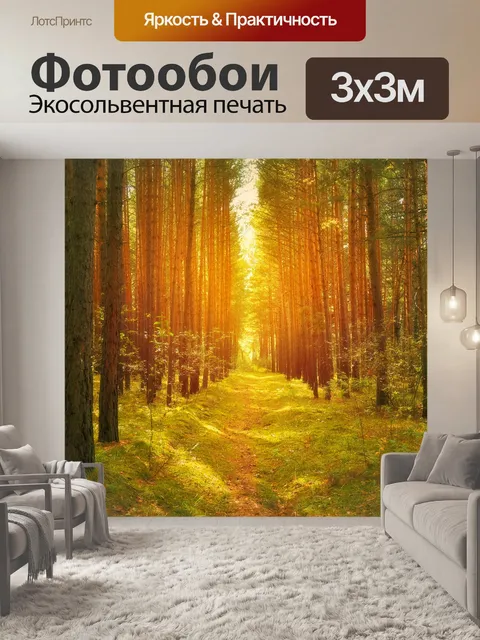 Фотообои Путь в лесу
