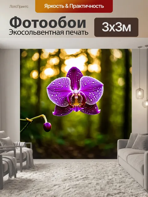 Фотообои орхидея на утреннем солнце, капли росы сверкают на её лепестках, фон - густой лес