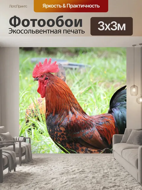 Фотообои Петух
