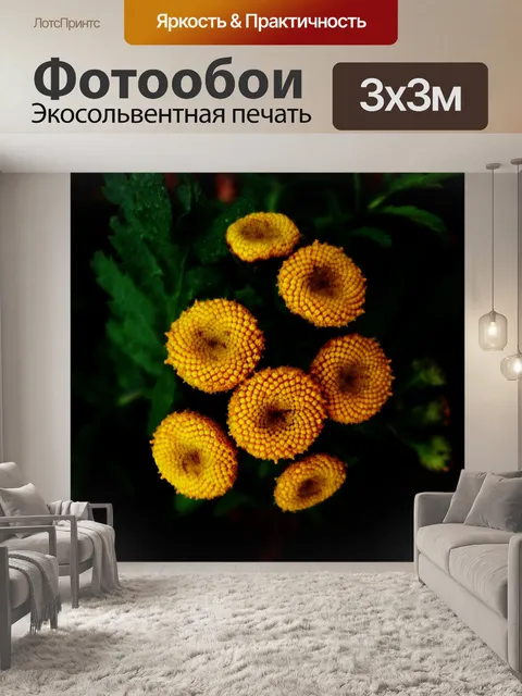 Фотообои Макрос