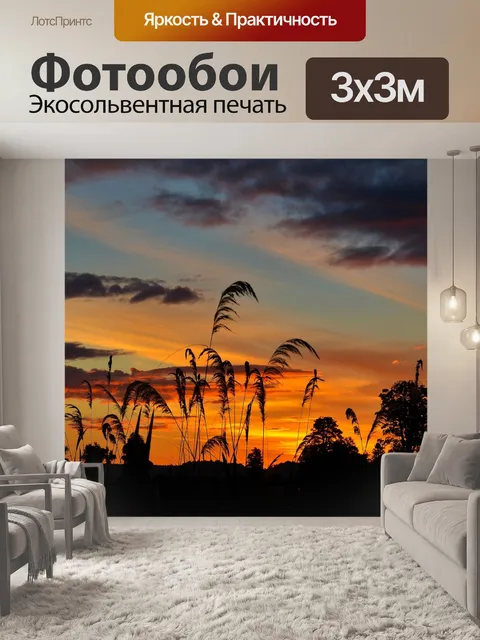 Фотообои Закат и Тростников