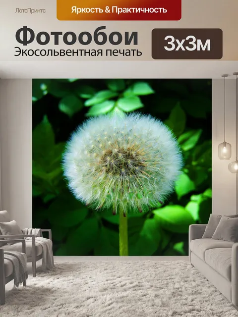 Фотообои Распустившийся халат с одуванчиками