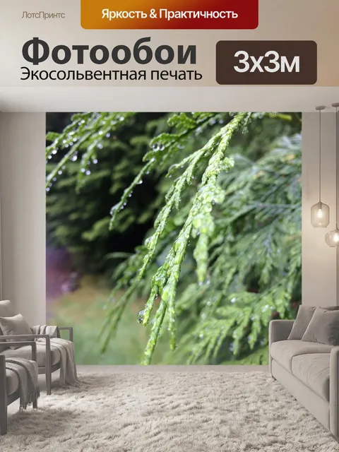 Фотообои Зеленый