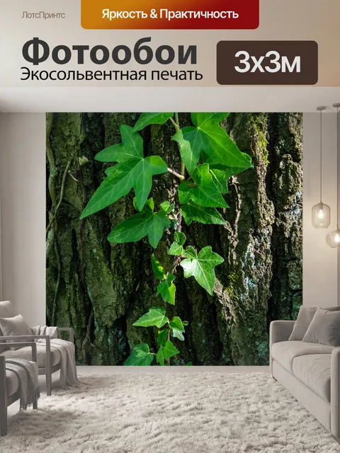 Фотообои Плющ