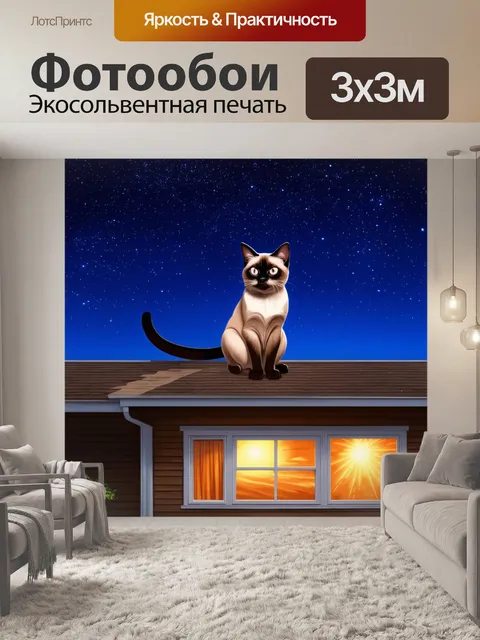 Фотообои сцена ночи, где сиамская кошка сидит на крыше дома под звёздным небом