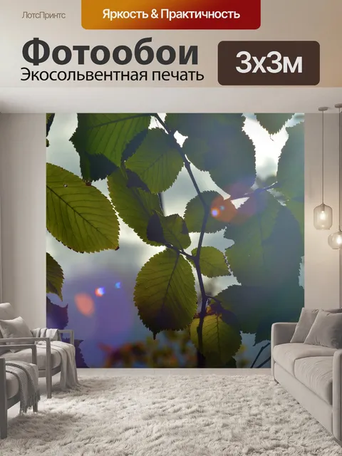 Фотообои Солнечный свет