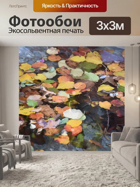 Фотообои Разноцветные листья плавающие