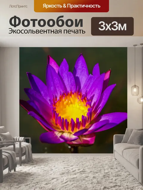 Фотообои цветок лотоса