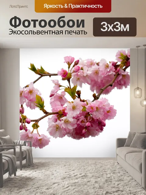 Фотообои Розовые цветы цветут изолированных