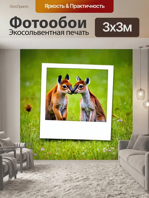 Фотообои животные в стиле полароидная фотография, трогательные сцены дружбы между различными видами животных в природе