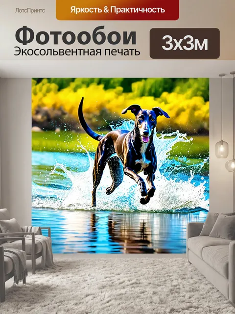 Фотообои борзая, проявляющая свою грацию в движении, бегущая по водной поверхности, оставляя за собой всплески