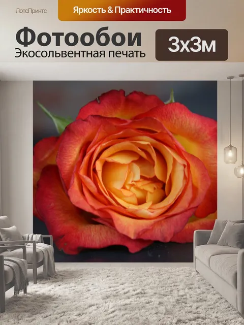 Фотообои Оранжевые розы
