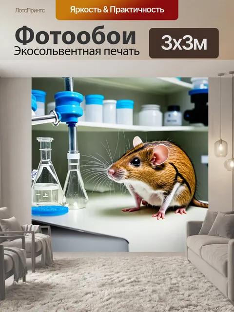 Фотообои крыса-ученый проводит эксперимент в своей уютной лаборатории