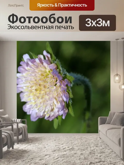 Фотообои Цветок