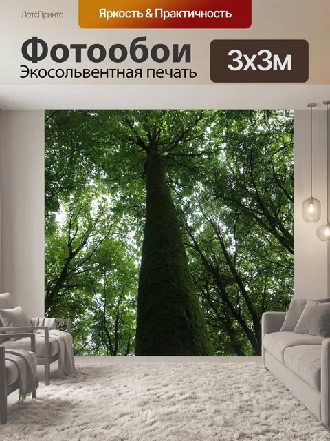 Фотообои Дерево