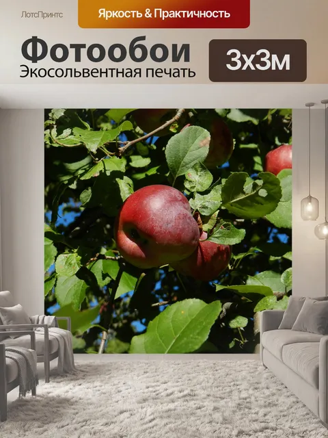 Фотообои Яблоня № 2