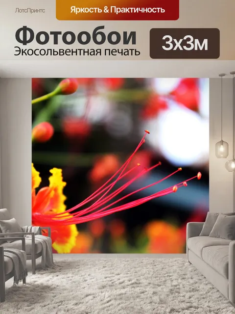 Фотообои цветок