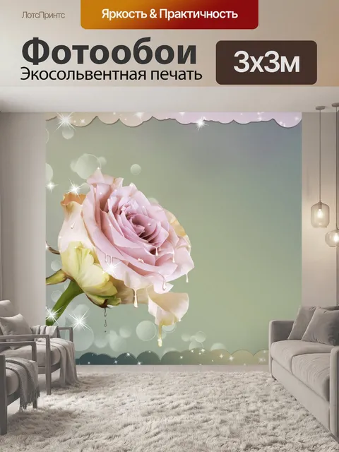 Фотообои Карточка с красивой розой