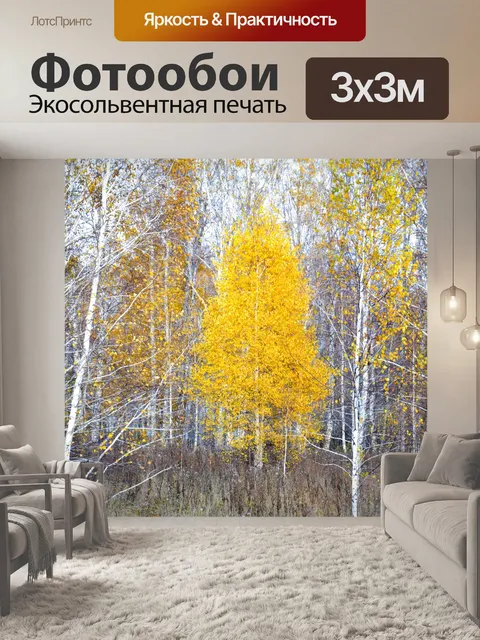 Фотообои Autumn in a birch forest