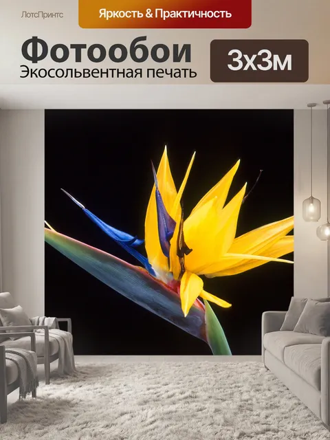 Фотообои Райская птица Фон
