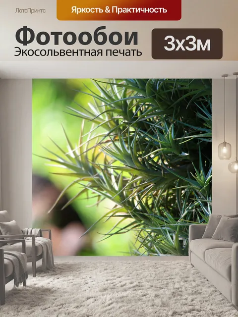 Фотообои эпифит растения