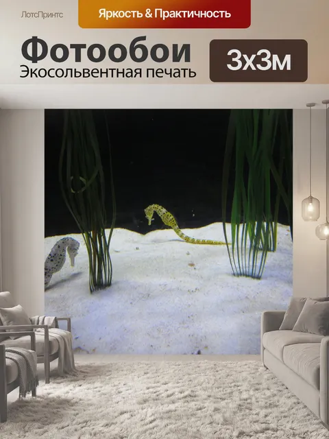 Фотообои Морской конек в аквариуме