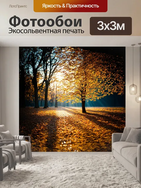 Фотообои в центре внимания — золотистая береза