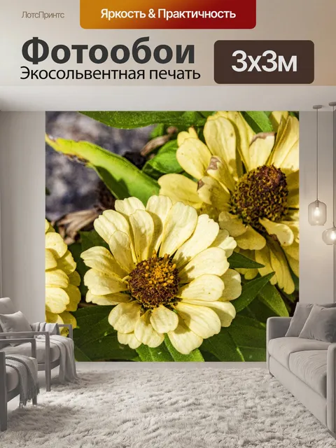 Фотообои Желтые цветы