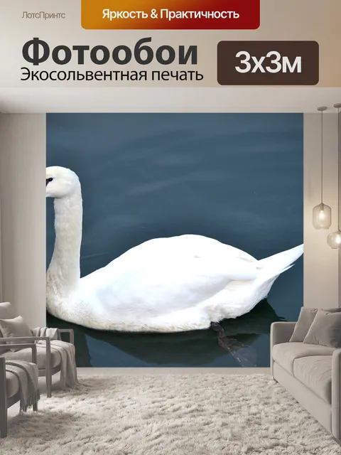 Фотообои Лебедь