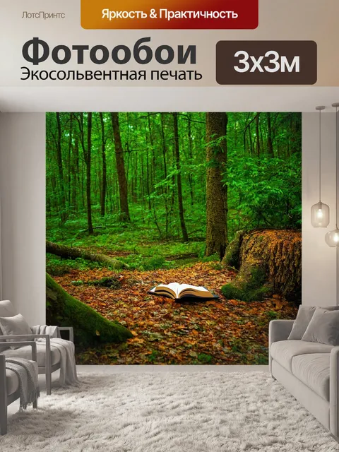 Фотообои лес с уединёнными местами для чтения книг
