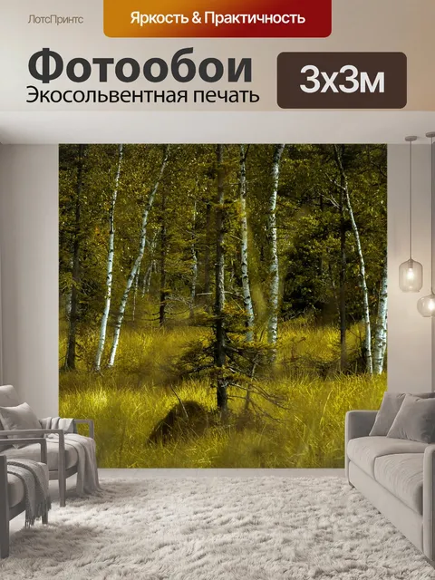 Фотообои Березовый лес