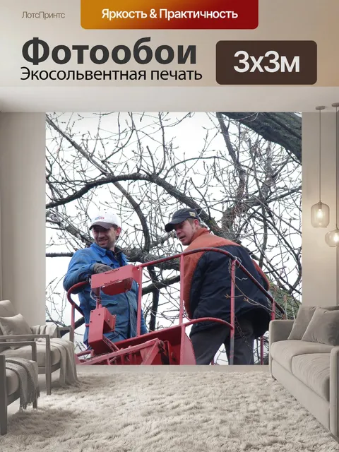 Фотообои Спил