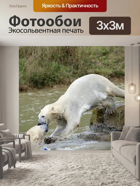 Фотообои Полярный медведь