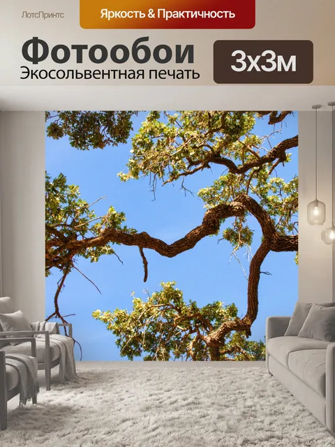 Фотообои Дубовые ветви и голубое небо