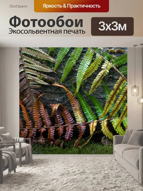 Фотообои Папоротник