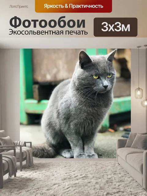 Фотообои Кошка