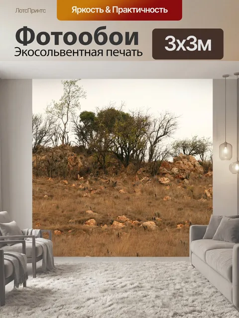 Фотообои скалистом растительностью