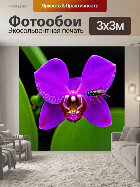 Фотообои орхидея, с барабанщик-насекомым на лепестках, в яркой природе