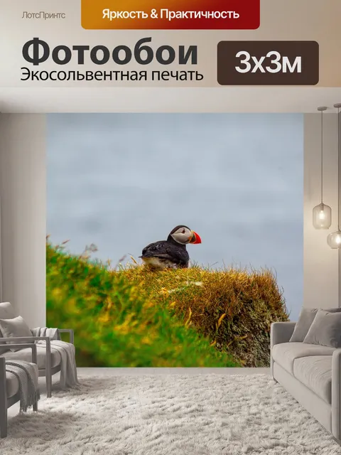 Фотообои Буревестник