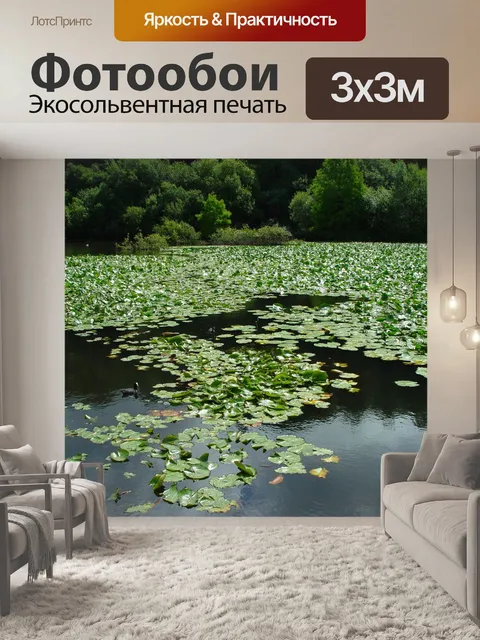 Фотообои Брест