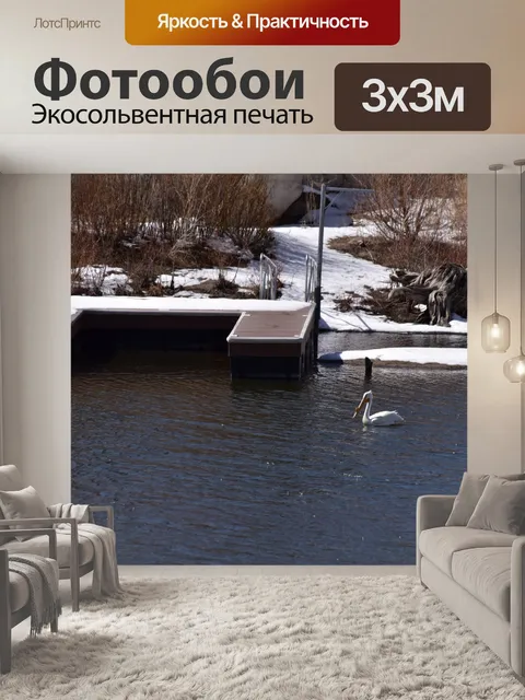 Фотообои Белый пеликан на озере