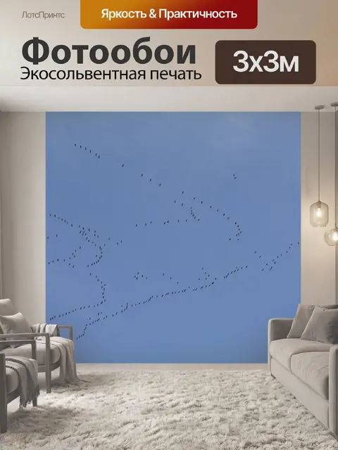 Фотообои Перелетные птицы