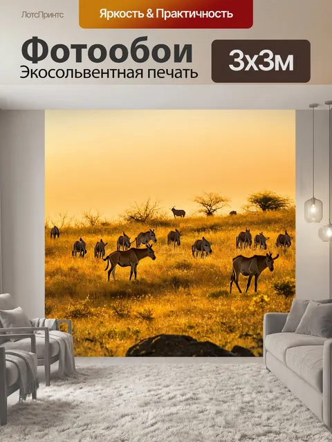 Фотообои дикие животные, бродящие по холмам на закате