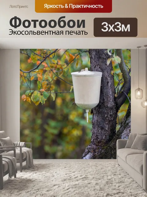 Фотообои Осень