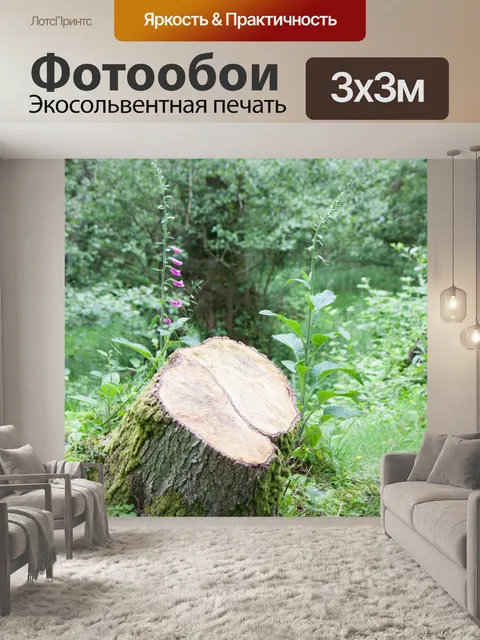 Фотообои Пень Пиломатериалы Дерево