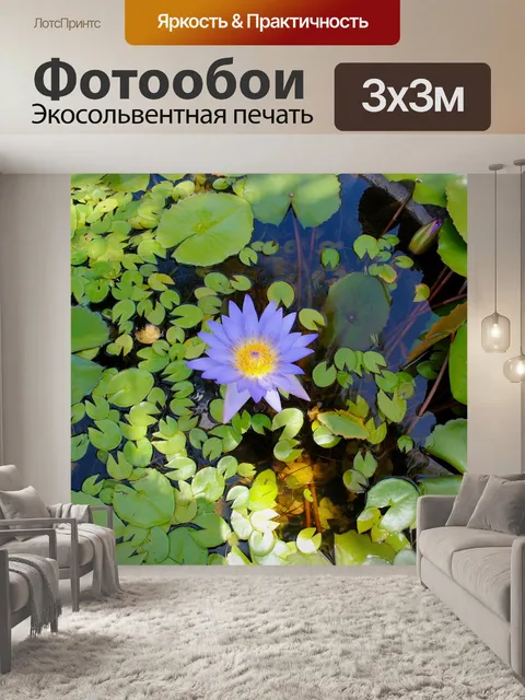 Фотообои Водяная лилия