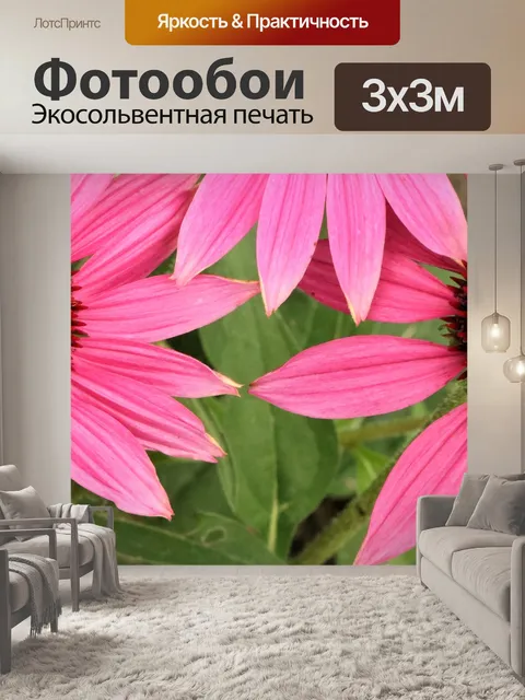 Фотообои Абстрактные Розовые Coneflowers